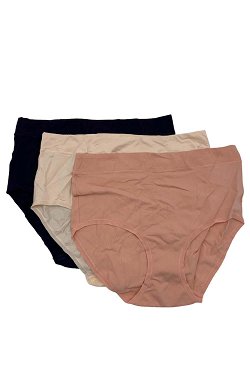 Breezies Set of 4 Seamless Long Leg Panties Briefs