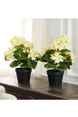 Valerie Home Décor & Accents