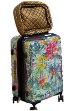 iFLY Luggage & Travel