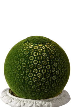 Illuminated  Decorative Objects