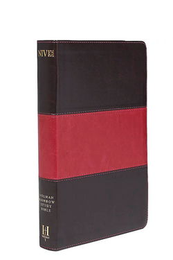 NIV Books