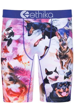 Ethika Men's Underwear