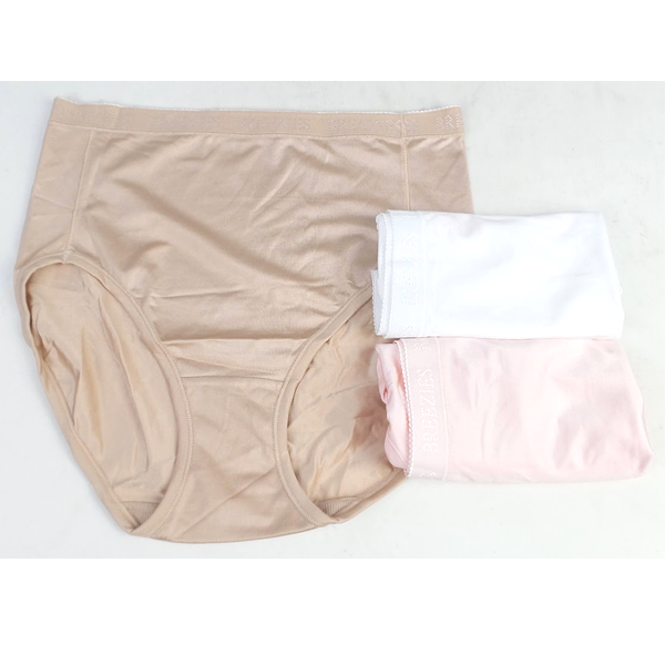 Breezies Nylon Microfiber Hi-Cut Panty Basic - Set of 3
