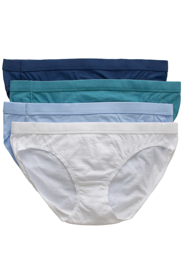 Hanes Ultimate Women's Pure Comfort Bikini Panties Blue -Set of 4