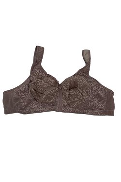 Breezies Seamless Long Line Wirefree Contour Bra with Lace Band