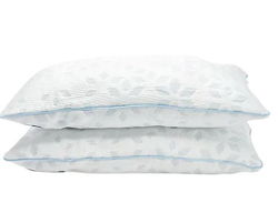 Northern Nights Bed Pillows