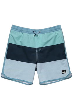 Quiksilver Kid Boy's Shorts
