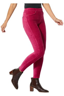 HUE Women's Pants