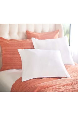Northern Nights Bed Pillows