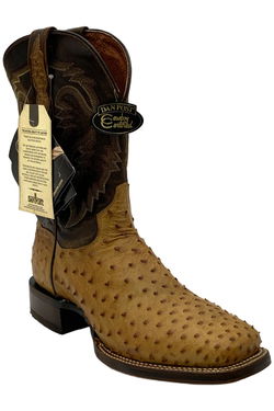 Dan Post Men's Boots