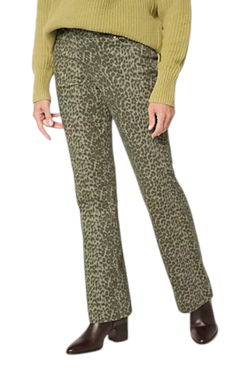 Belle by Kim Gravel Boot Cut Jeans