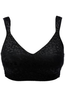 Rhonda Shear Bras