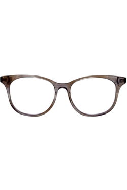 Felix Gray Glasses