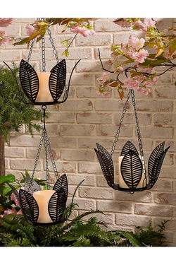 Garden Reflections  Outdoor & Patio