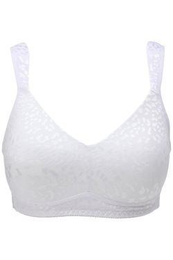 Rhonda Shear Bras