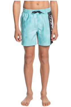 Quiksilver Kid Boy's Shorts
